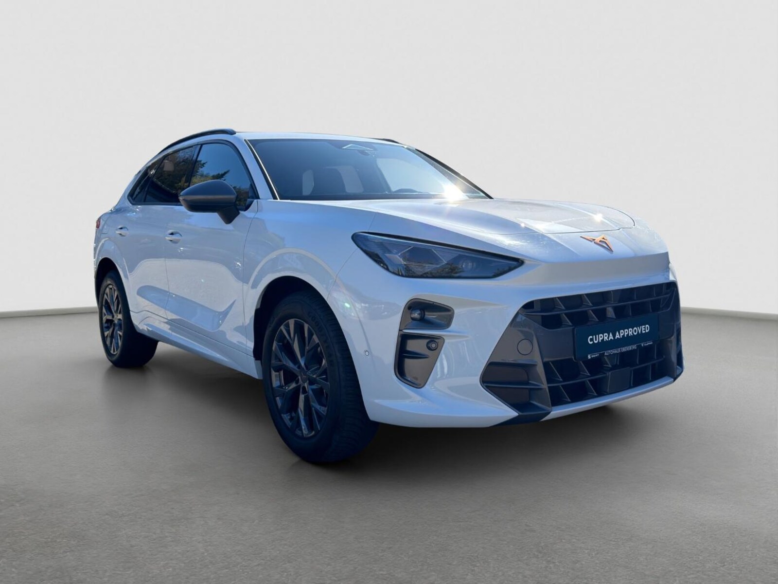 CUPRA Terramar – Bild 4