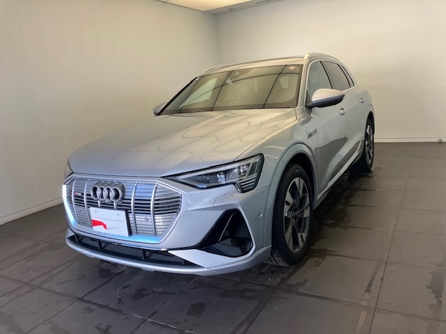 Audi e-tron 55 quattro S line 300,00 kW for more details contact your dealer