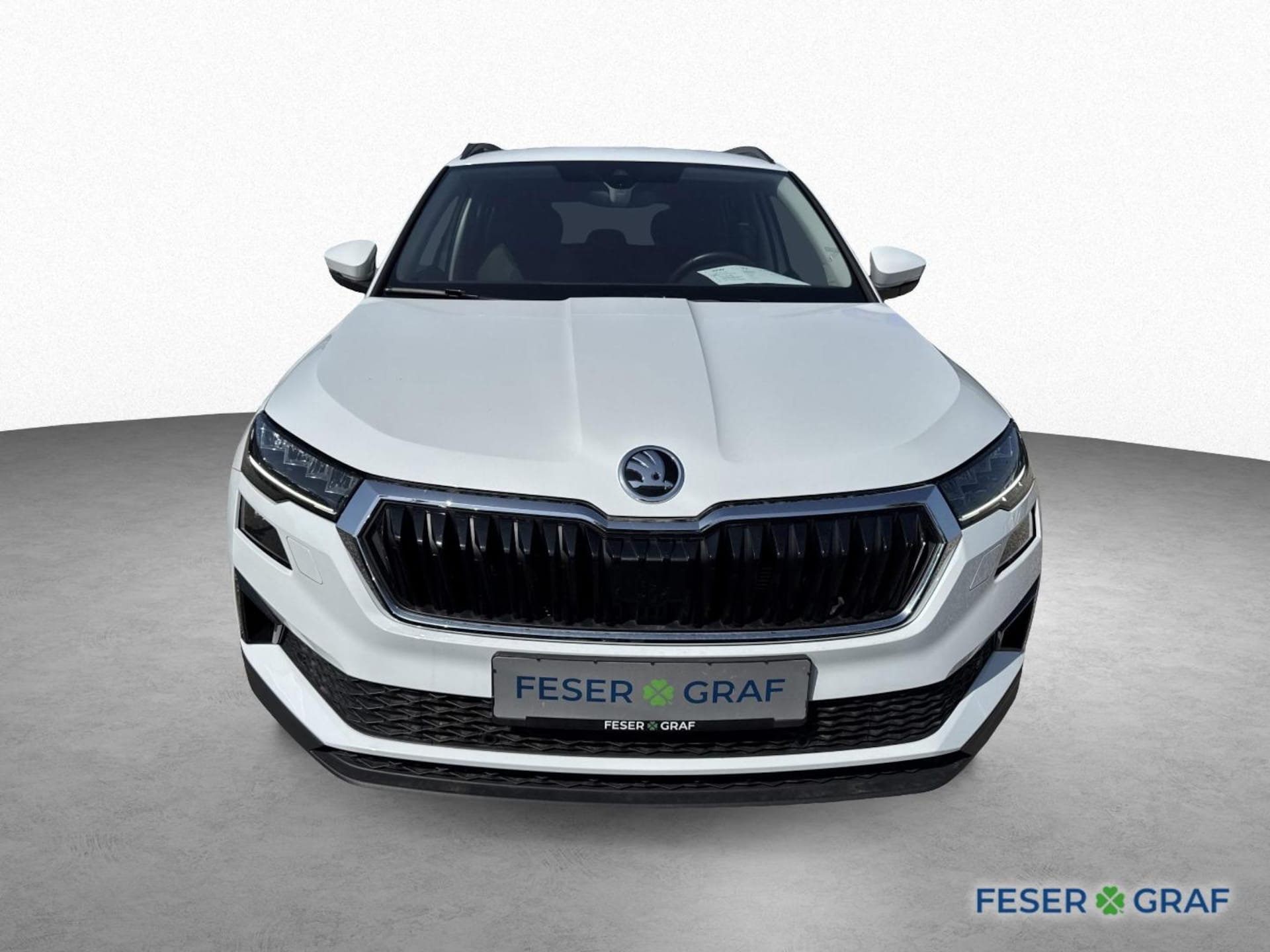 Skoda Karoq Ambition
