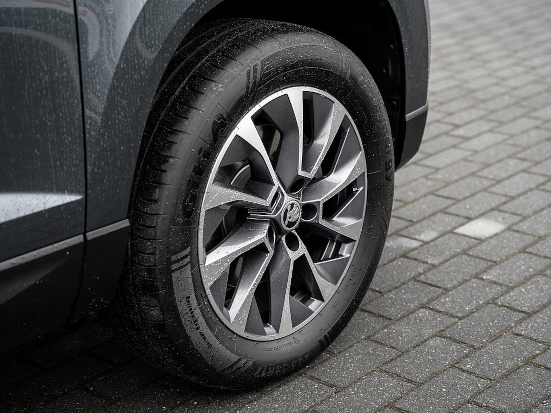 Skoda Karoq Drive 125