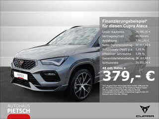 erstes Vorschaubild