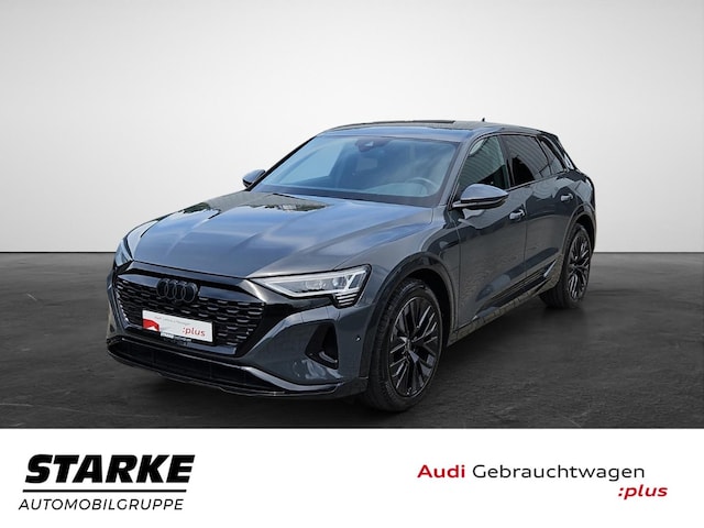 Audi Q8 e-tron occasion