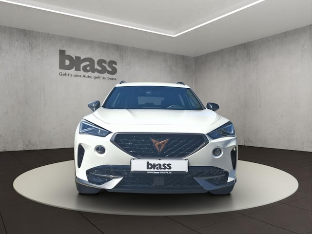 Bild des Autos 8