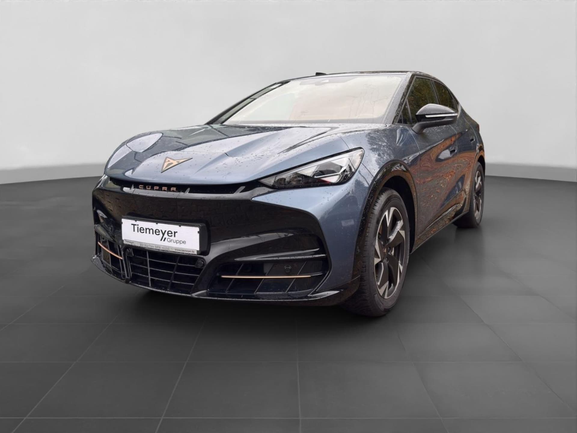 CUPRA Tavascan Endurance