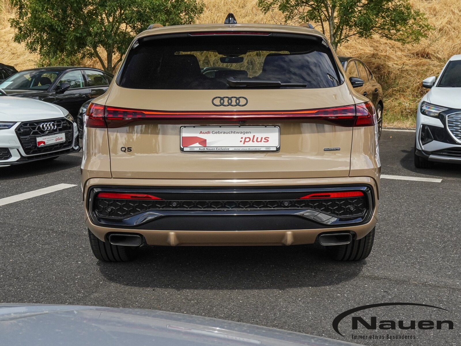 Audi Q5 – Bild 6