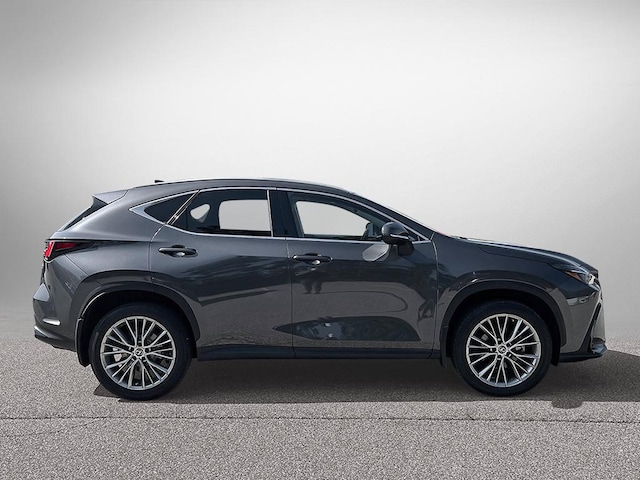 2023 Lexus NX 350