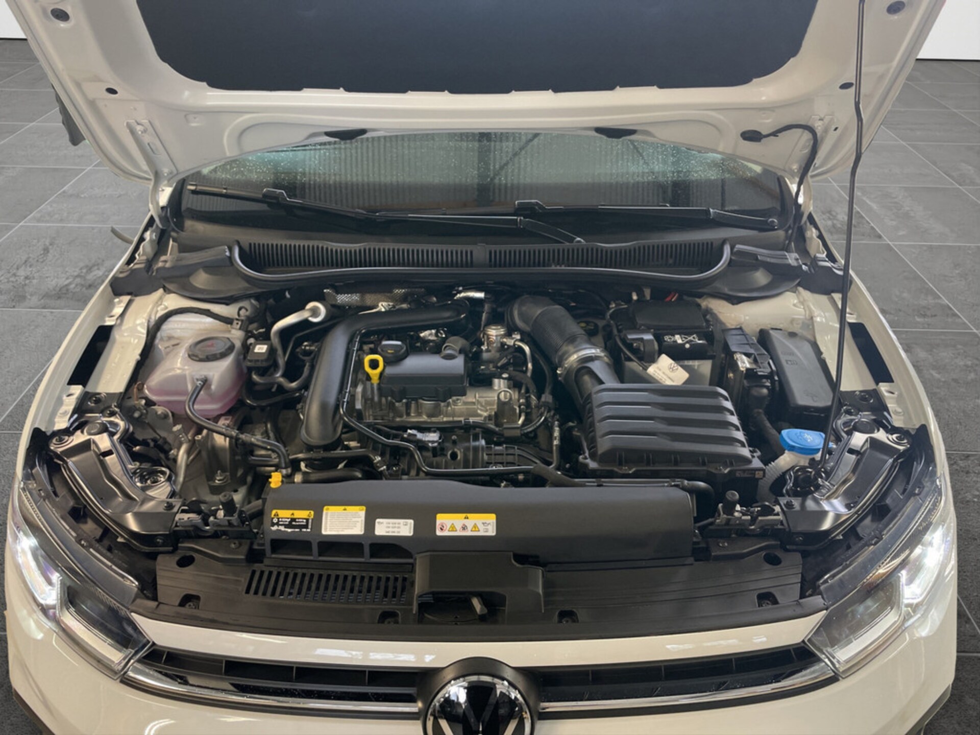 Volkswagen Polo Life