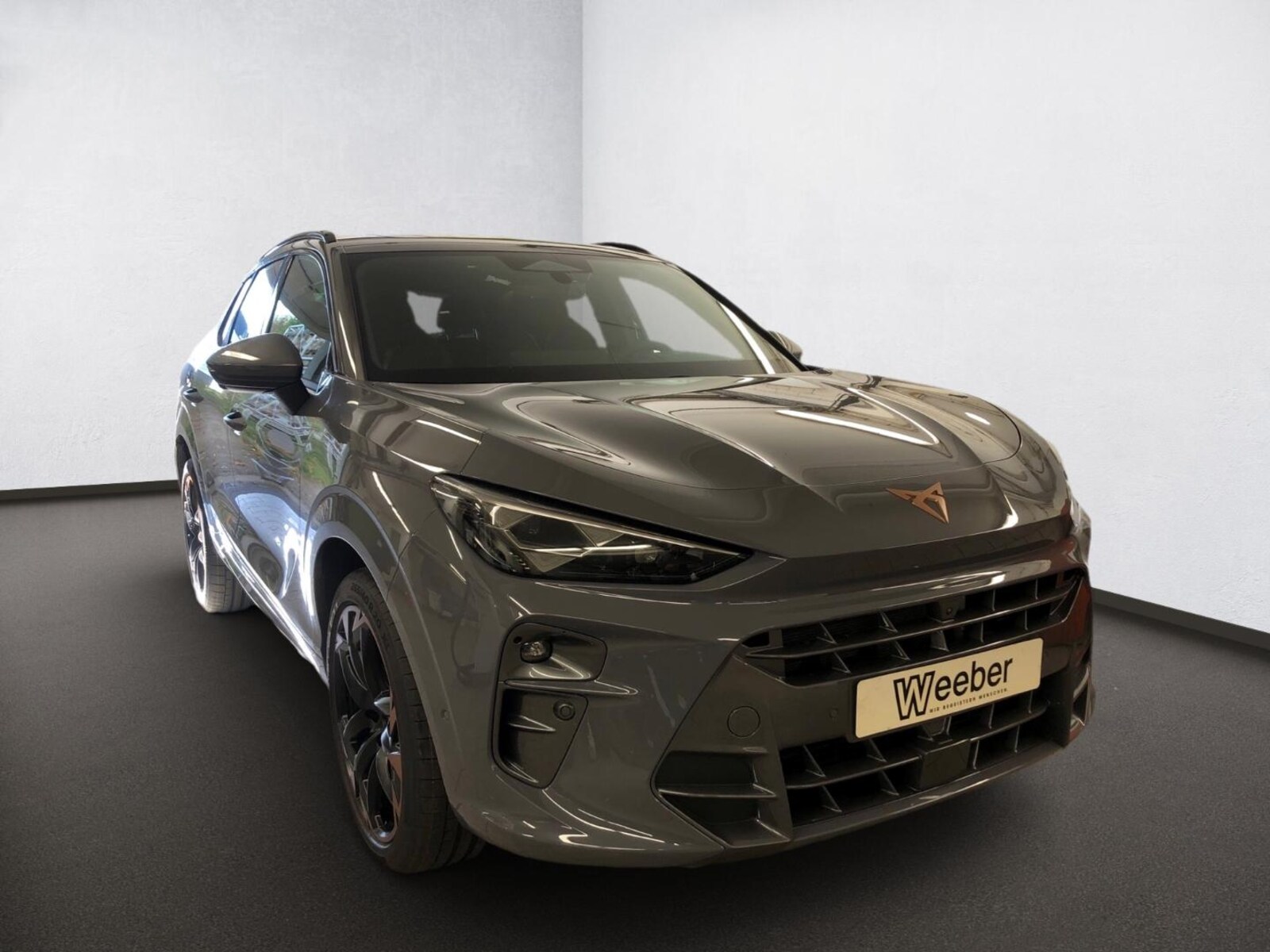 CUPRA Terramar – Bild 19