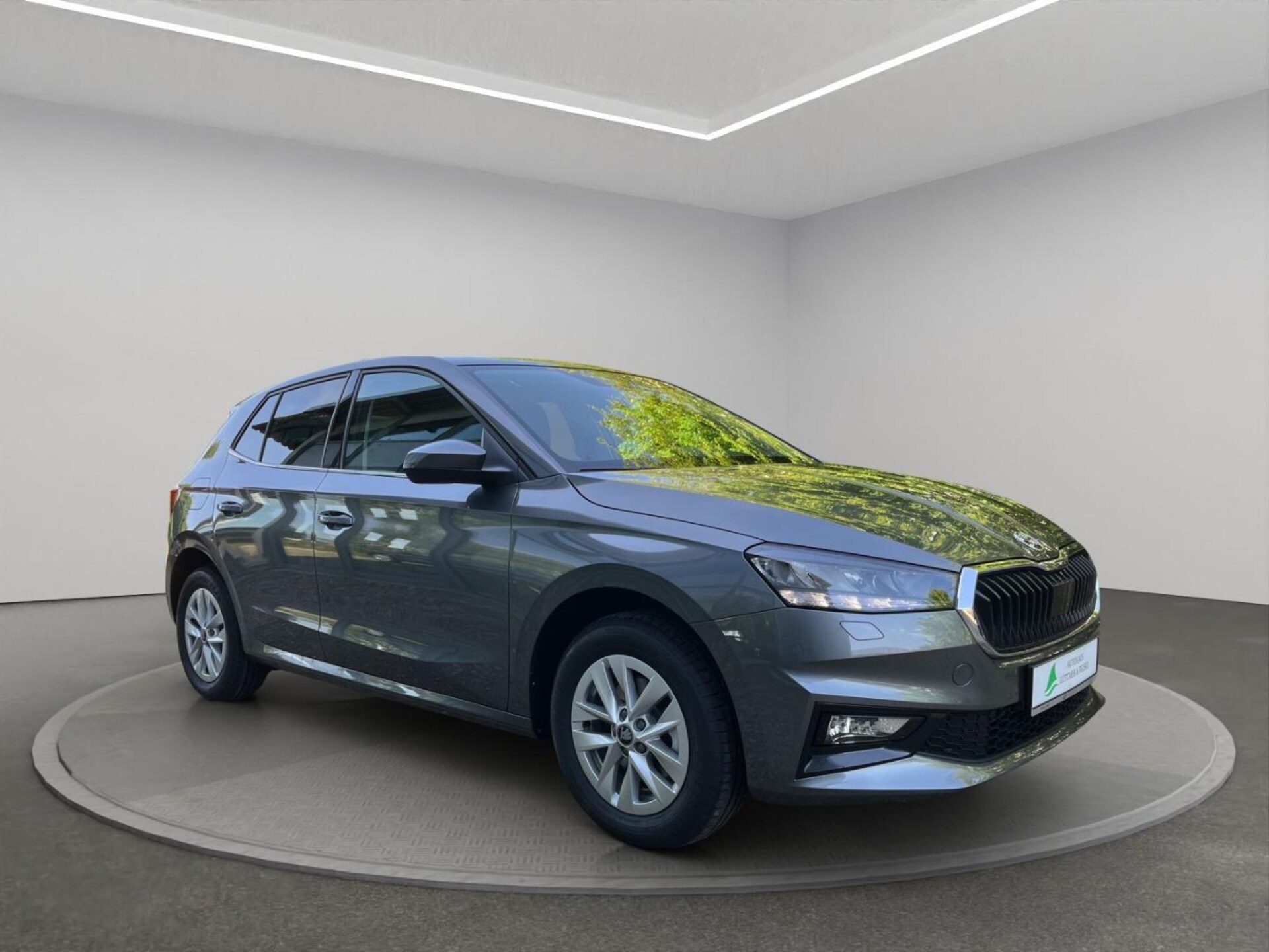 Skoda Fabia Selection