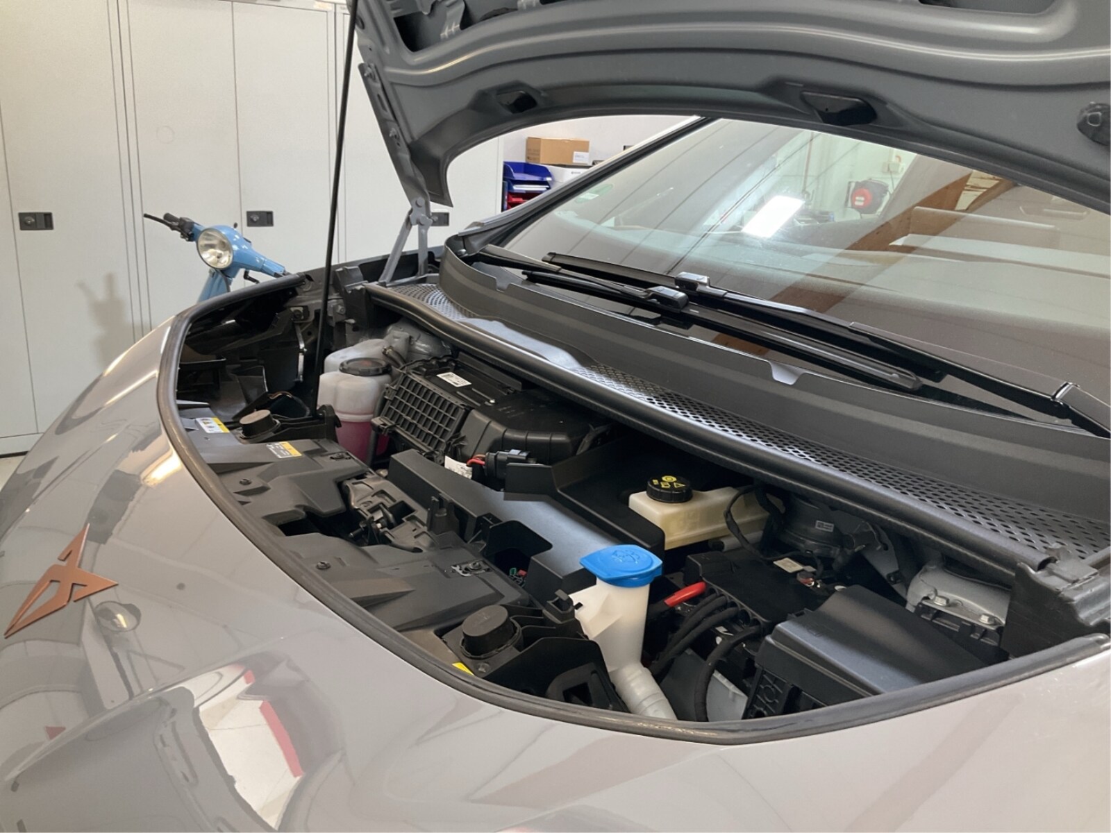 CUPRA Born – Bild 14