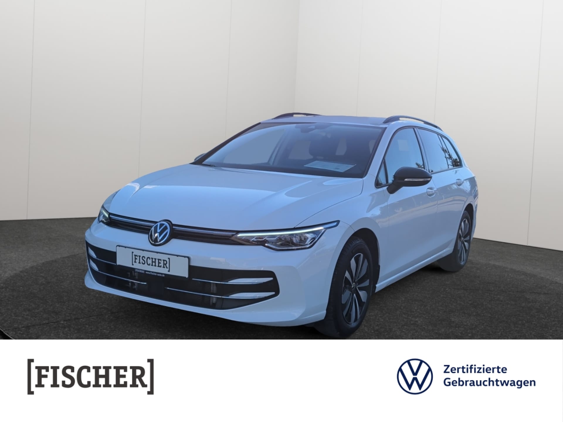 Volkswagen Golf Variant Goal