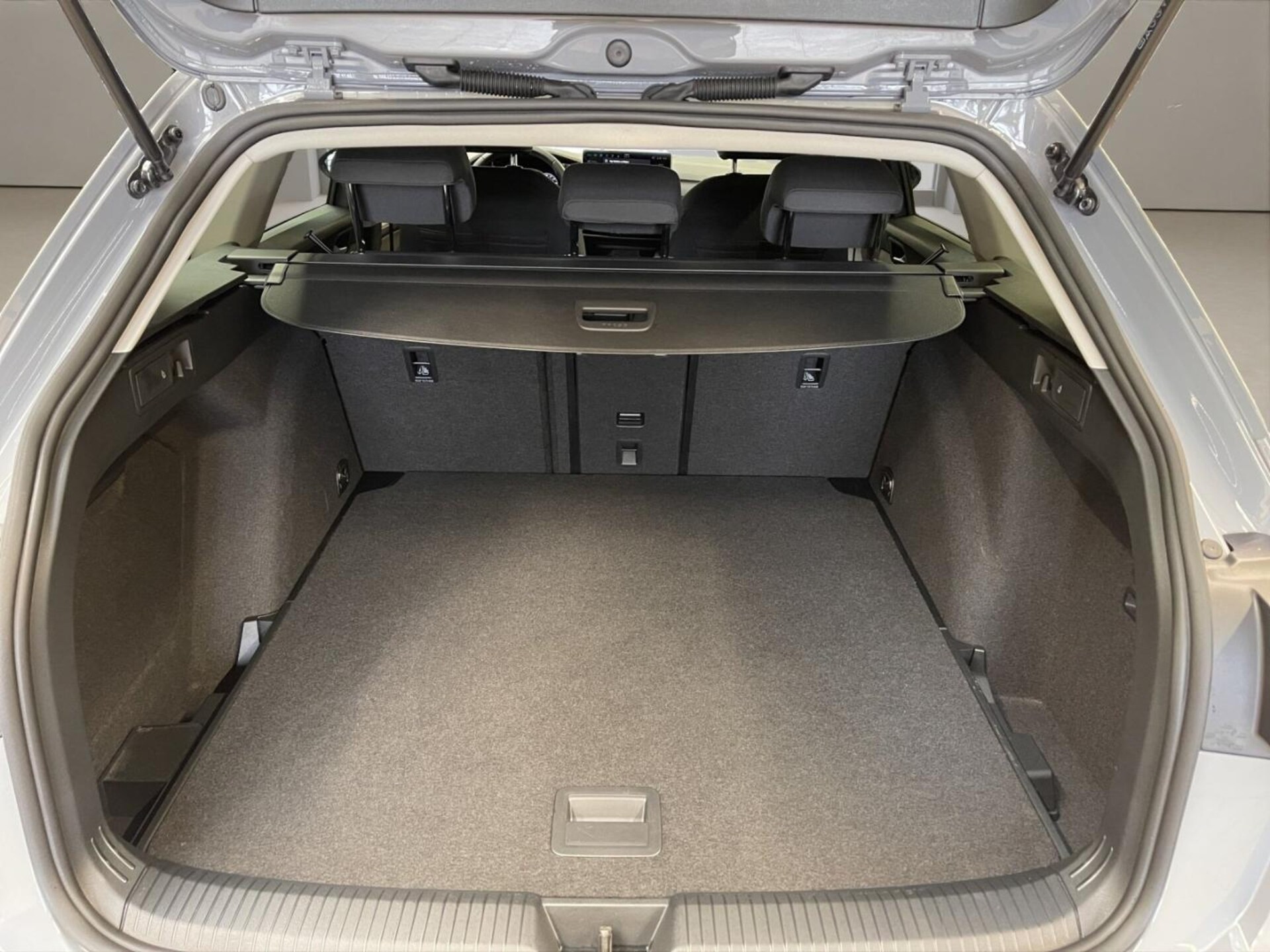 Volkswagen Golf Variant Life