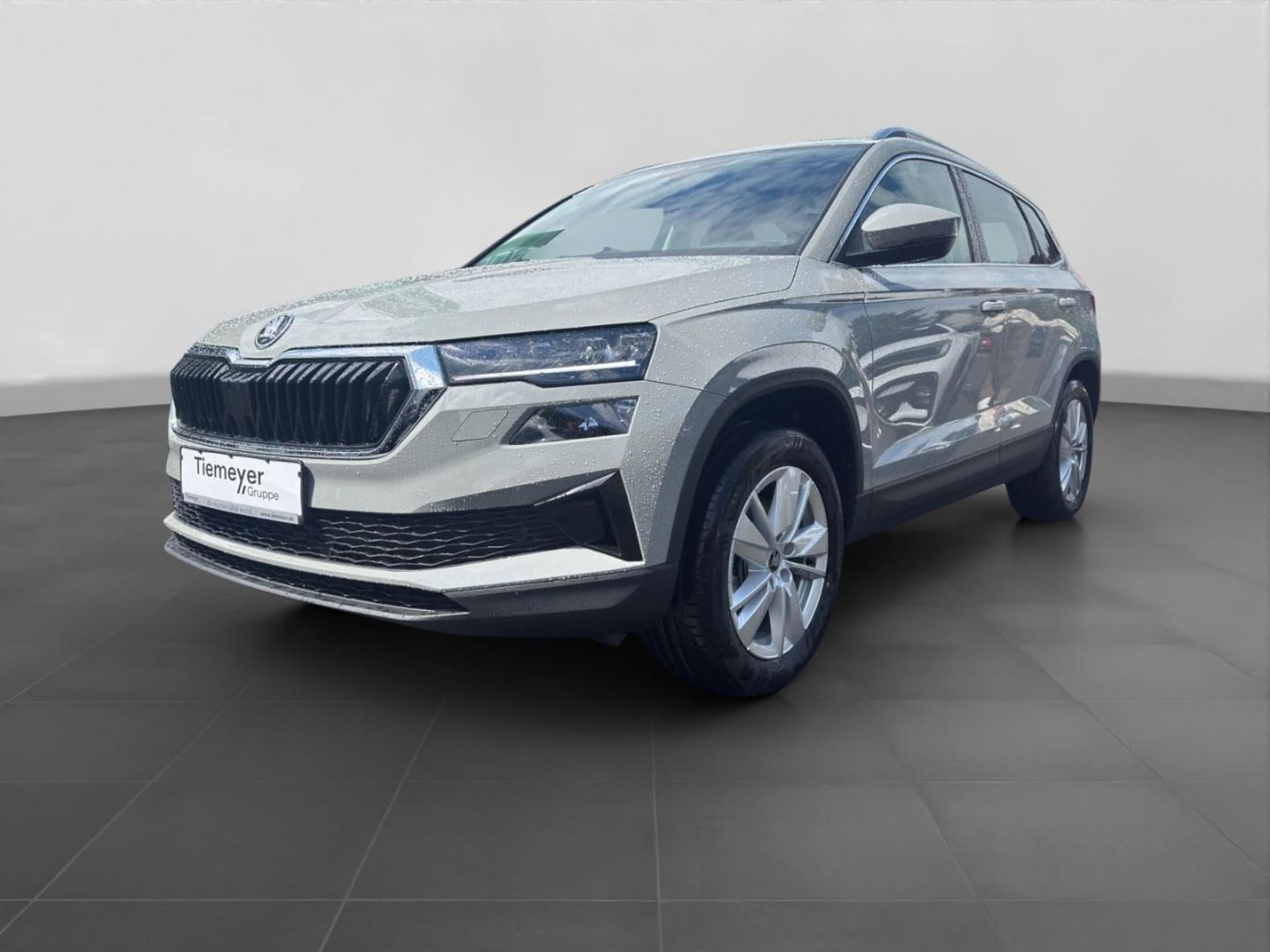 Skoda Karoq Selection