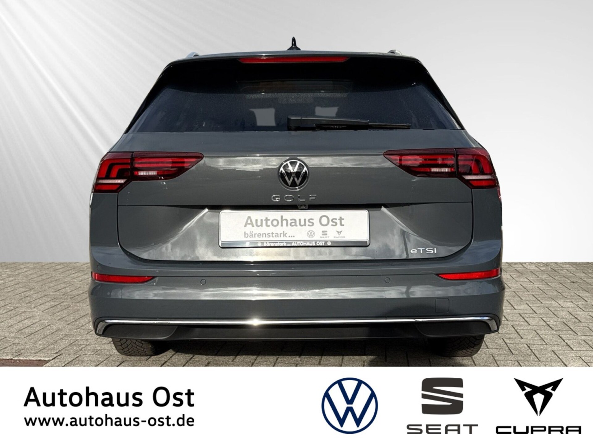 Volkswagen Golf Variant Style