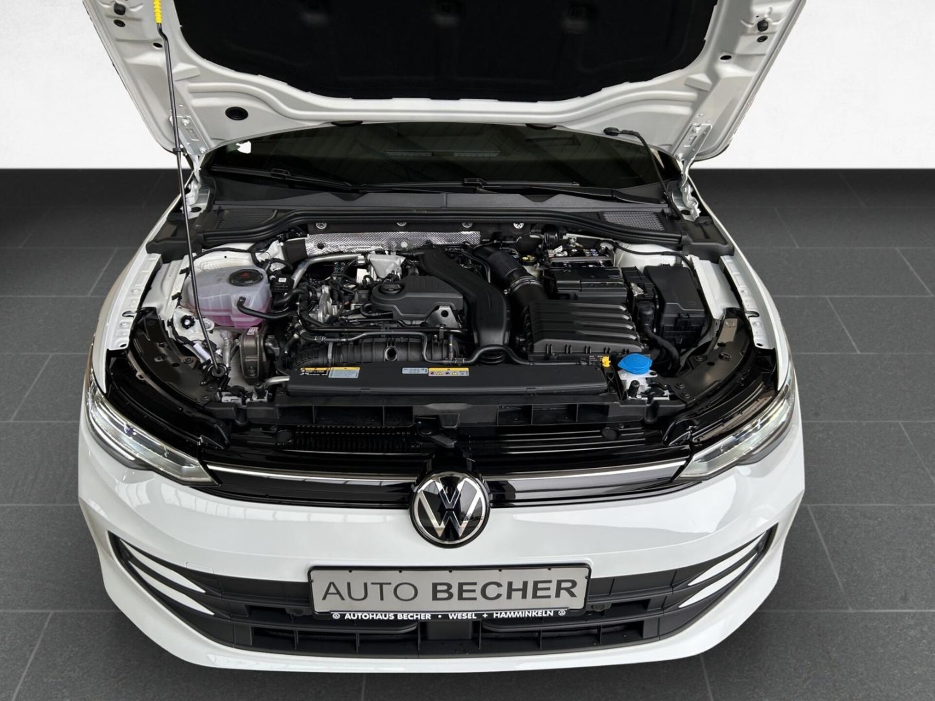 Volkswagen Golf Life