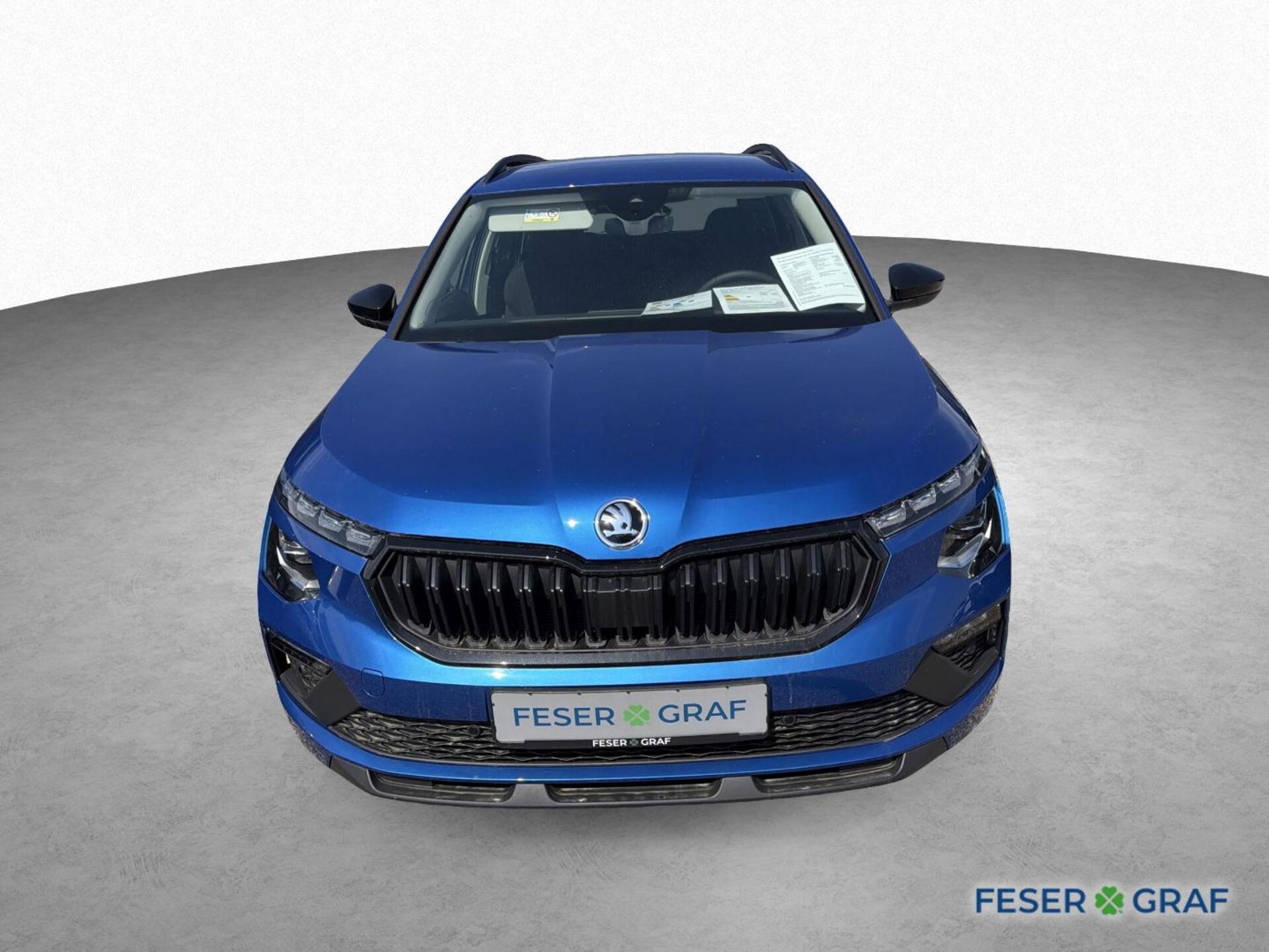 Skoda Kamiq Selection
