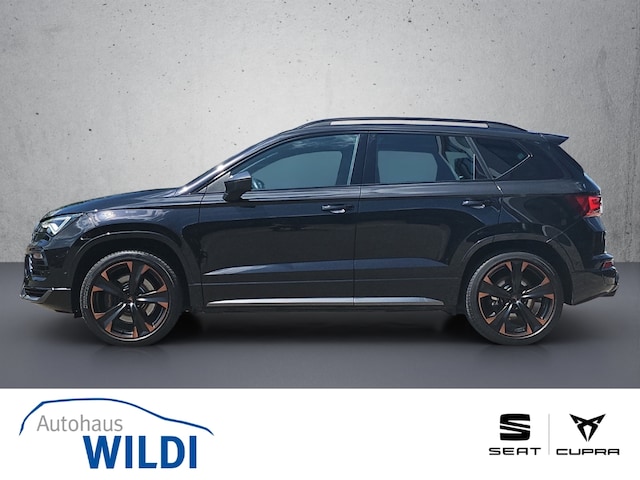 Bild des Autos 3
