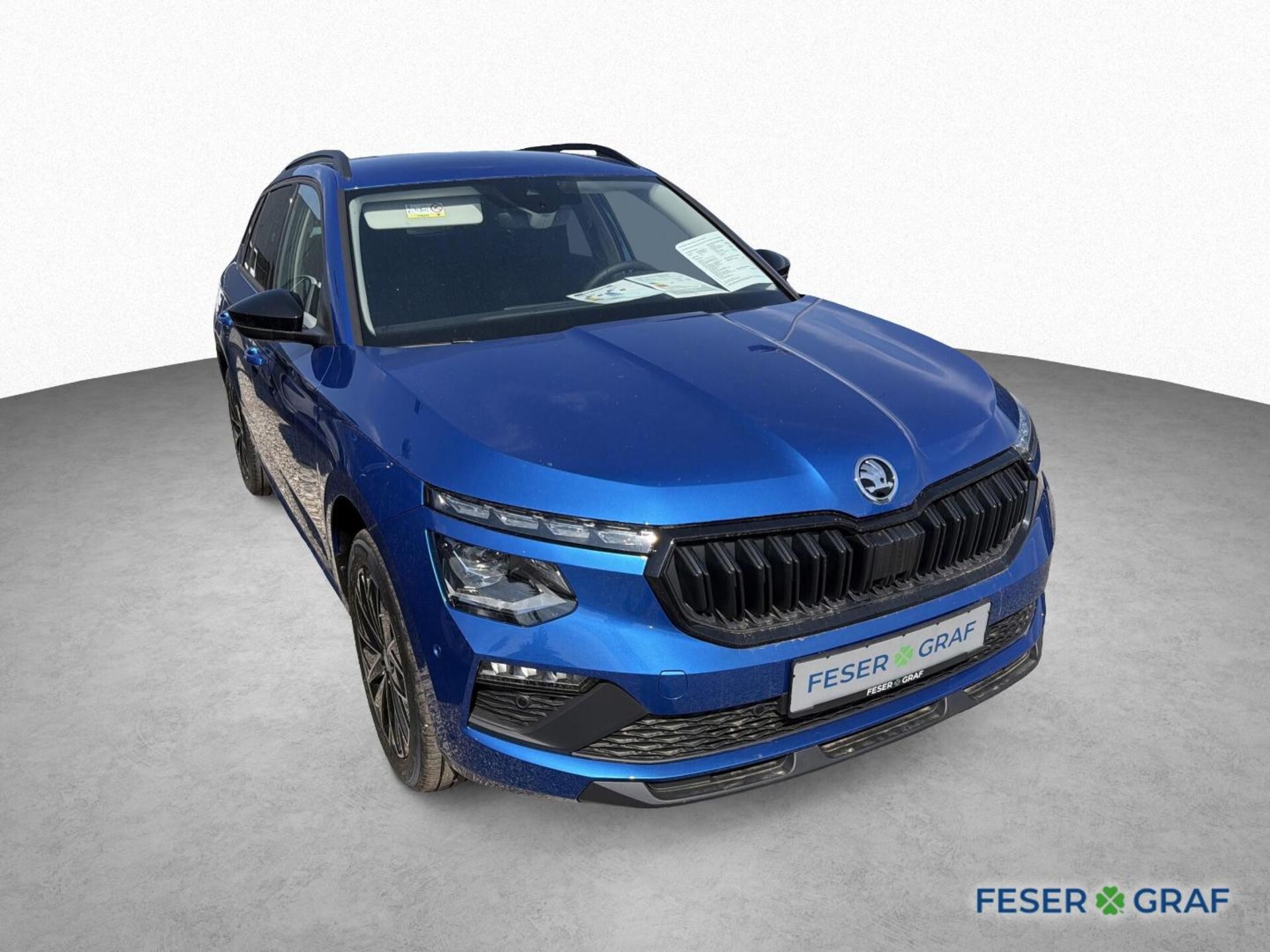 Skoda Kamiq Selection