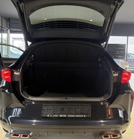 Bild des Autos 9