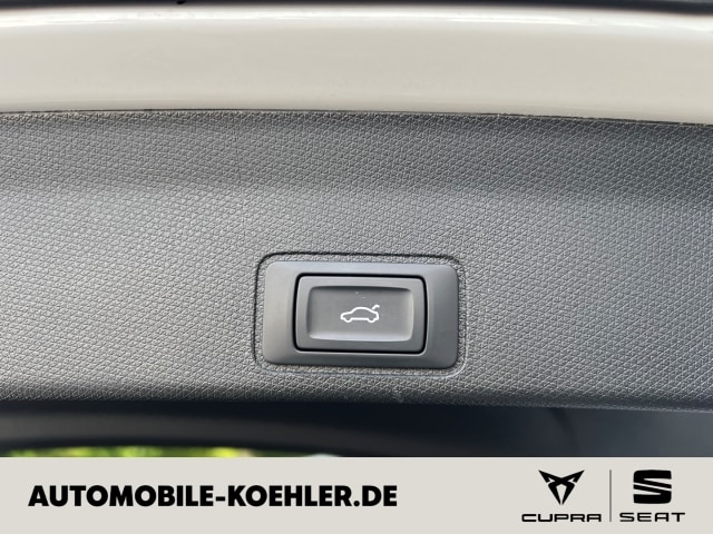 Bild des Autos 17