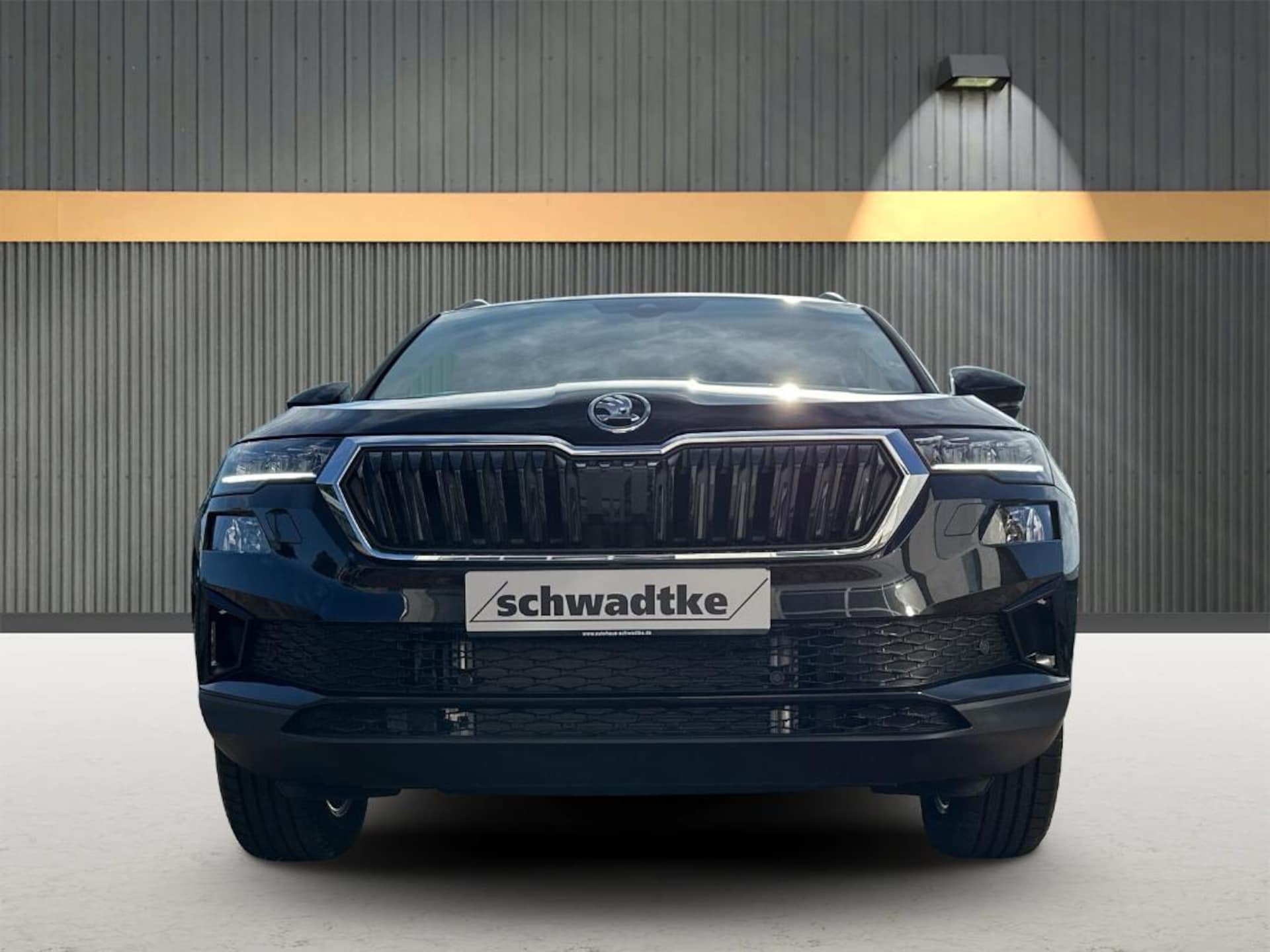 Skoda Karoq Selection