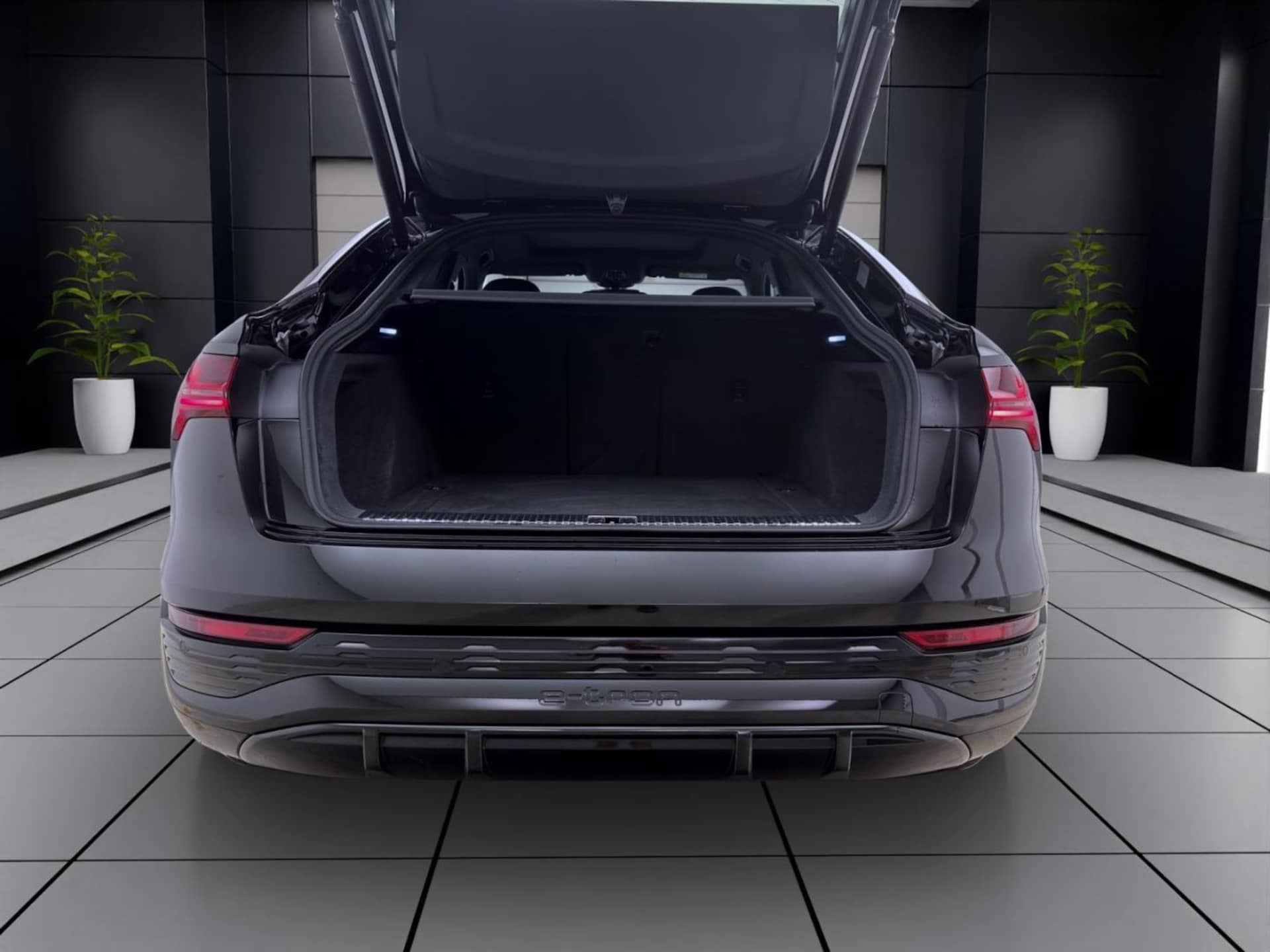 Audi Q8 Sportback e-tron S line