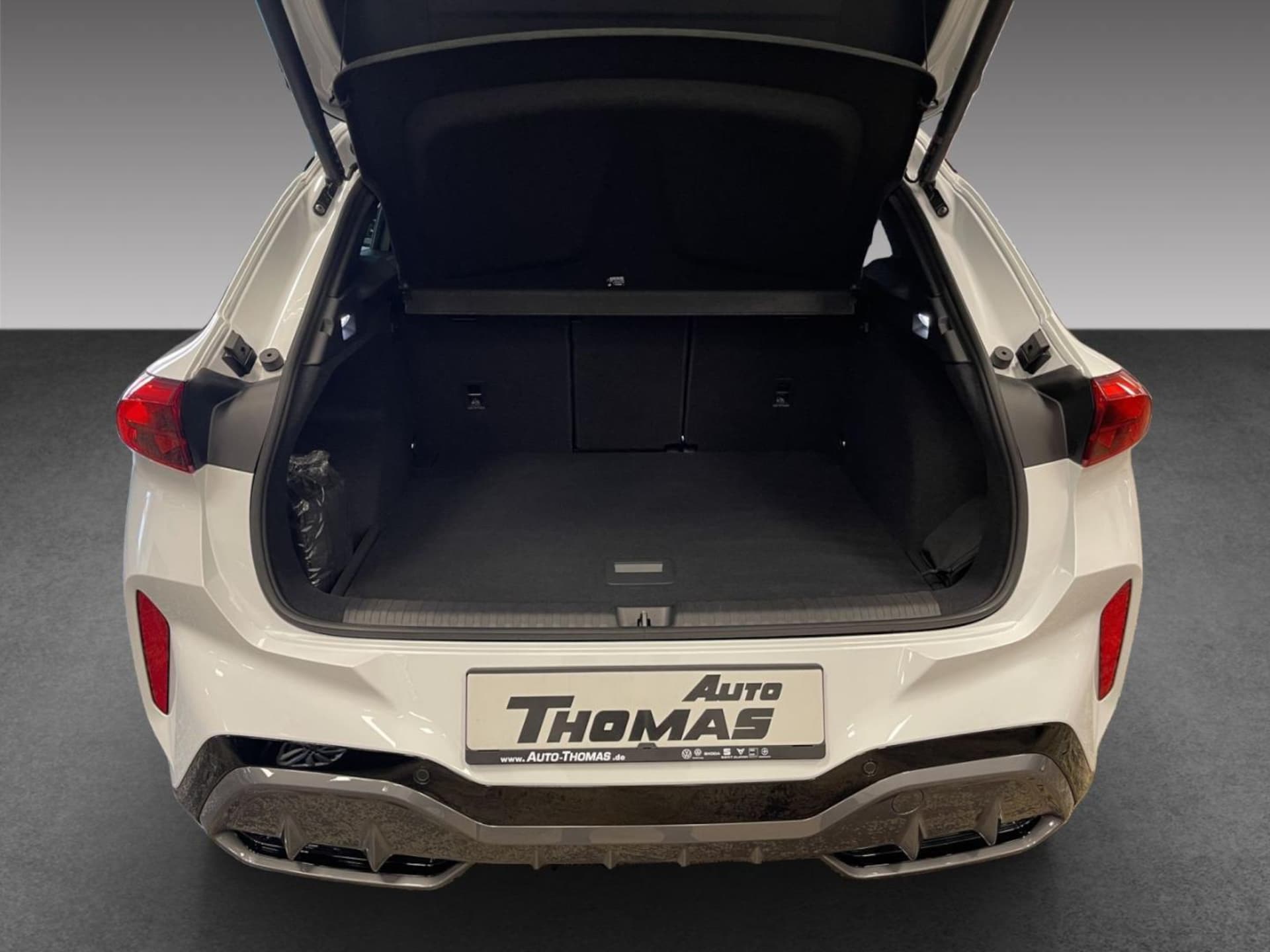 CUPRA Terramar