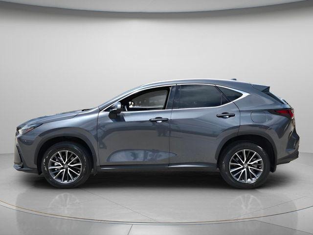 2024 Lexus NX 250