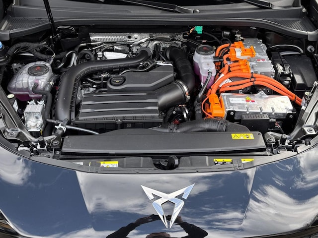 Bild des Autos 13