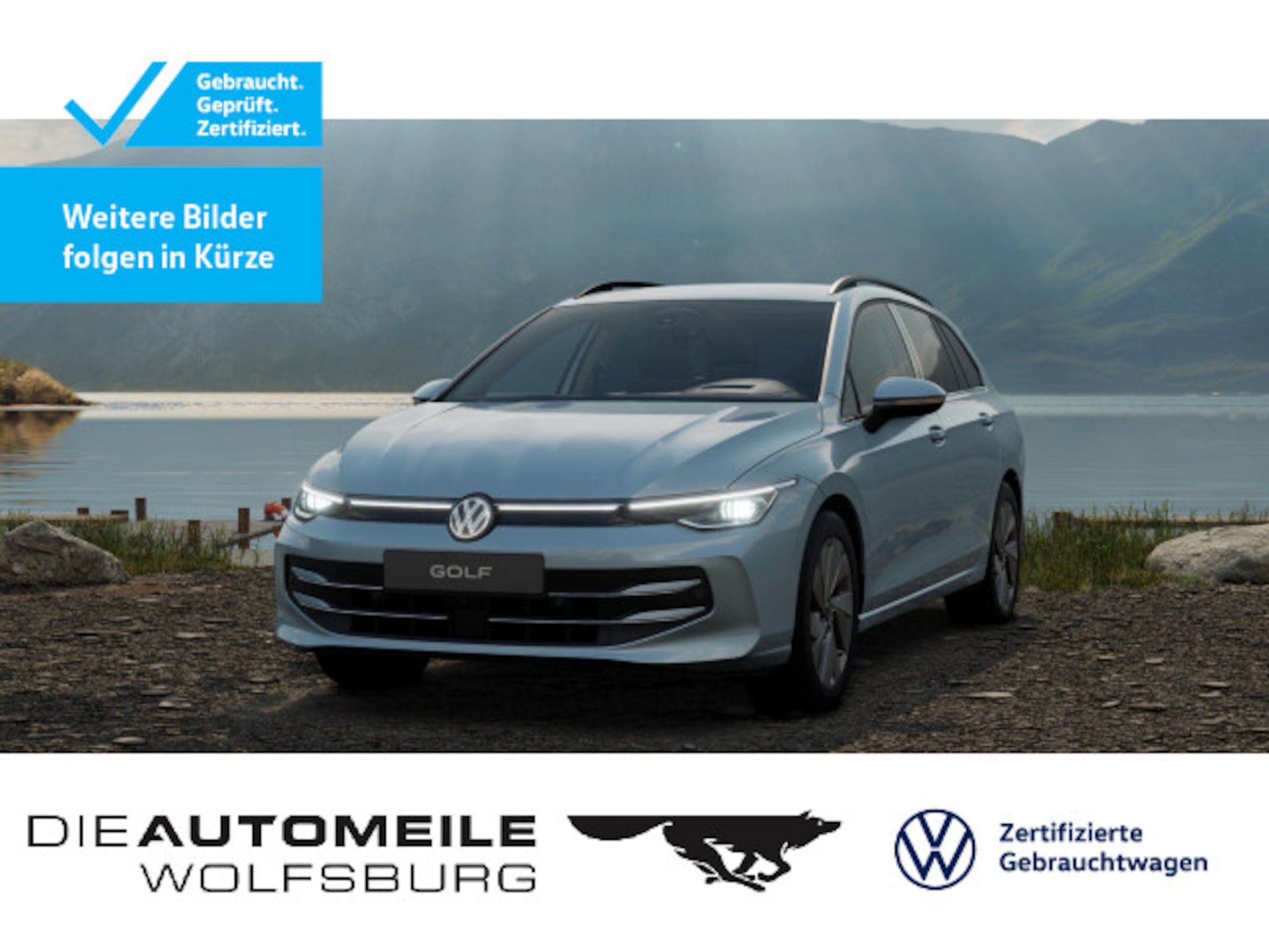 Volkswagen Golf Variant Style