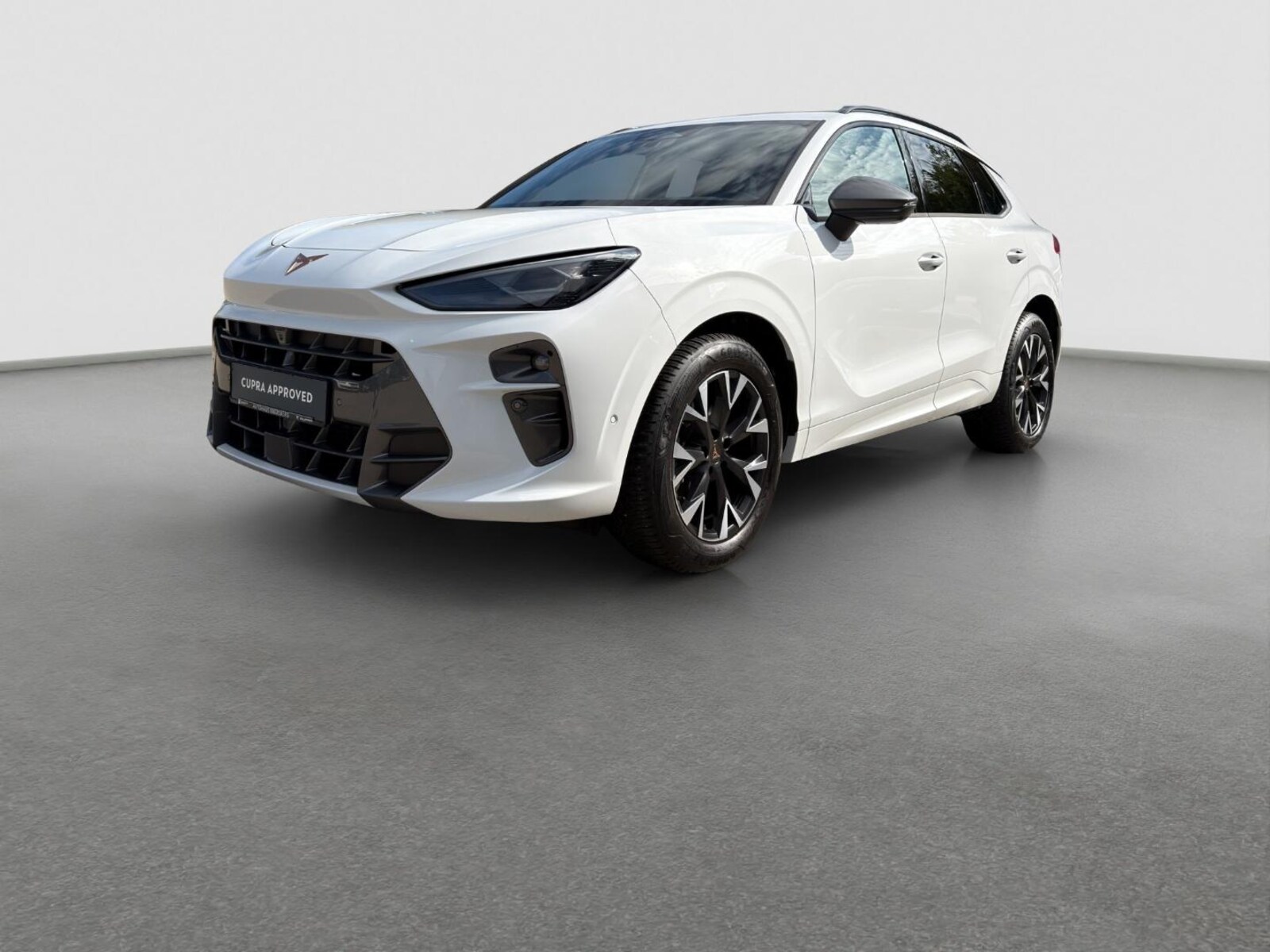 CUPRA Terramar – Bild 2