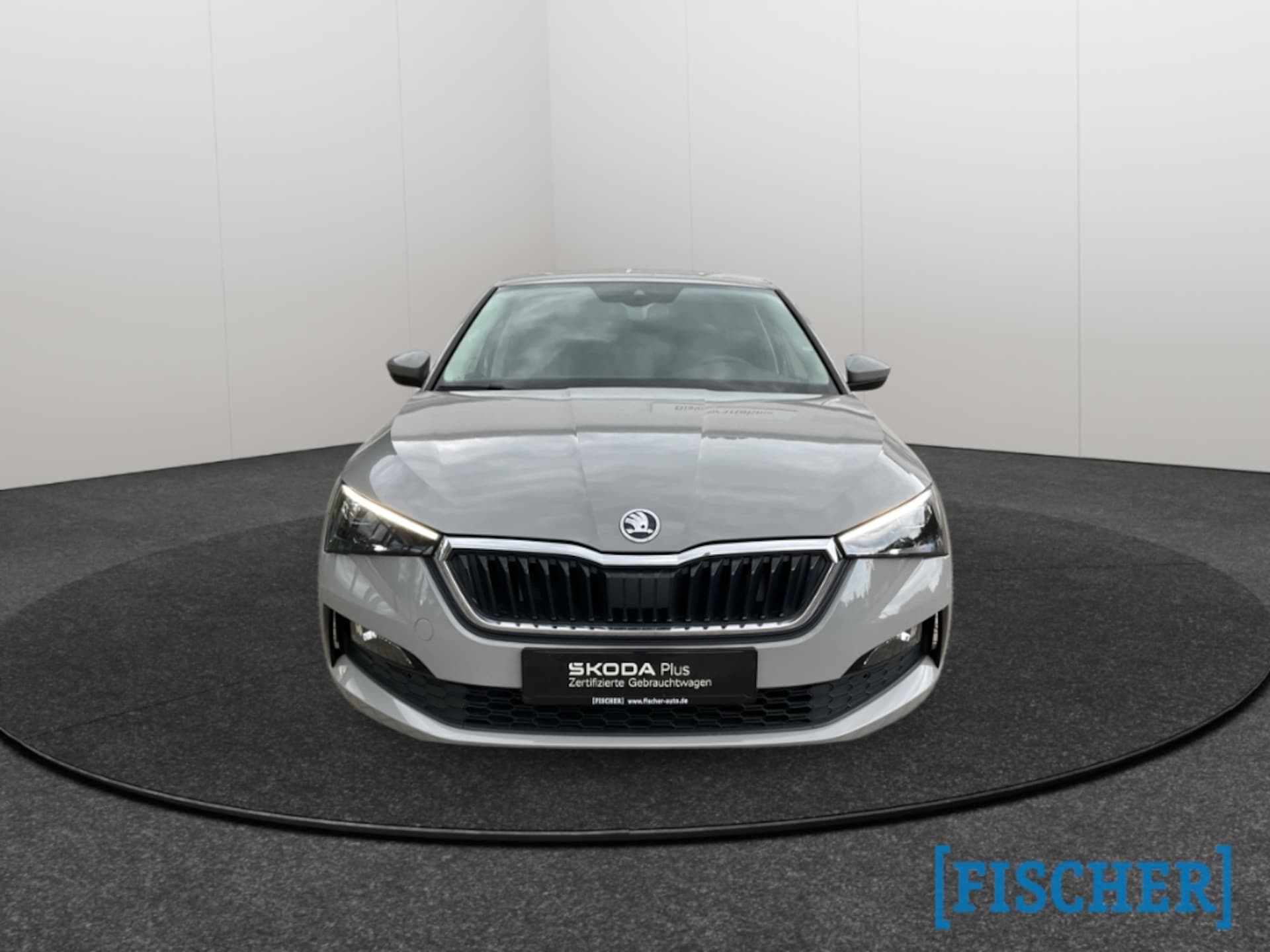 Skoda Scala Style
