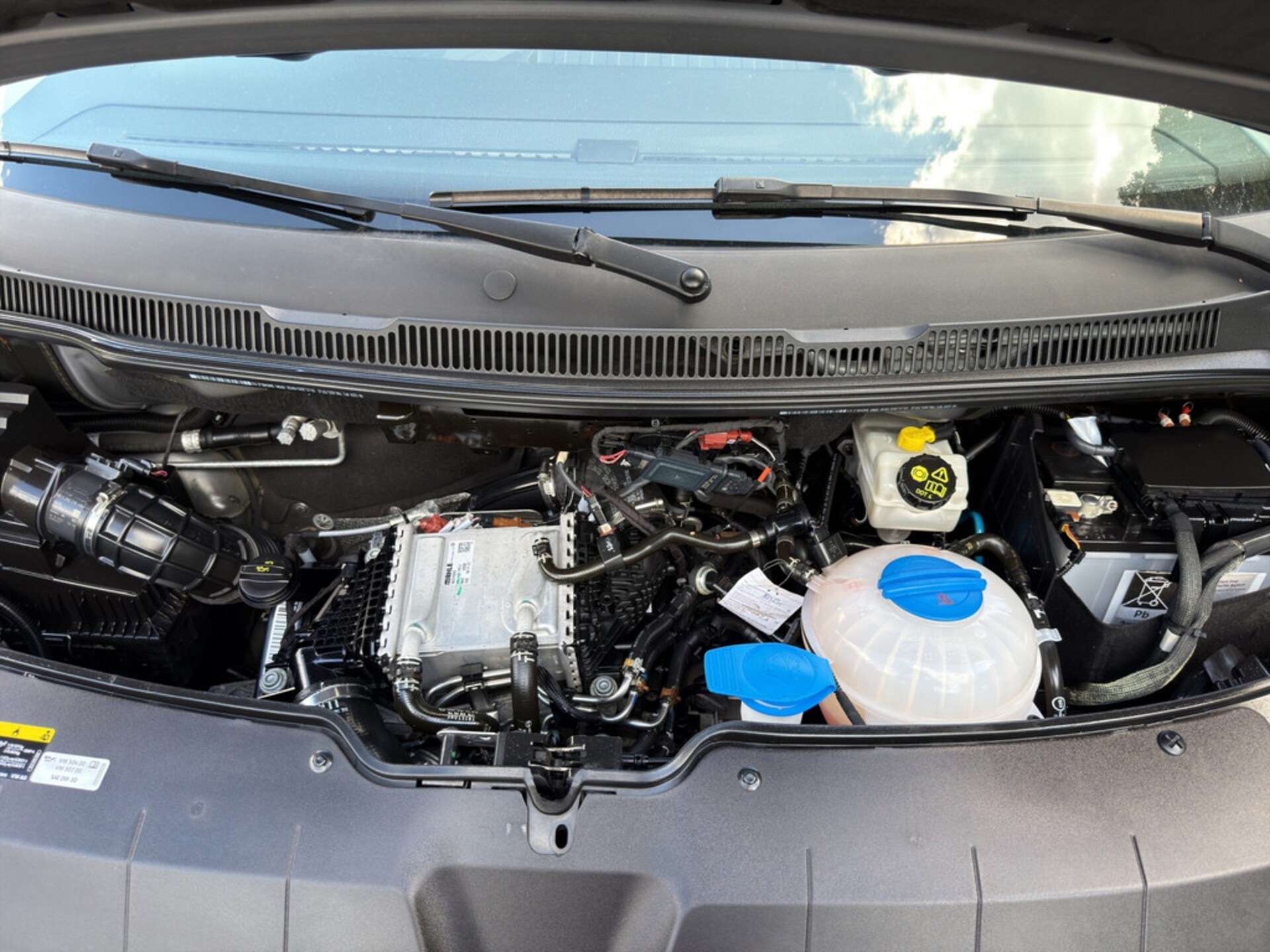 Volkswagen T6.1 Transporter Kasten kurzer Radstand