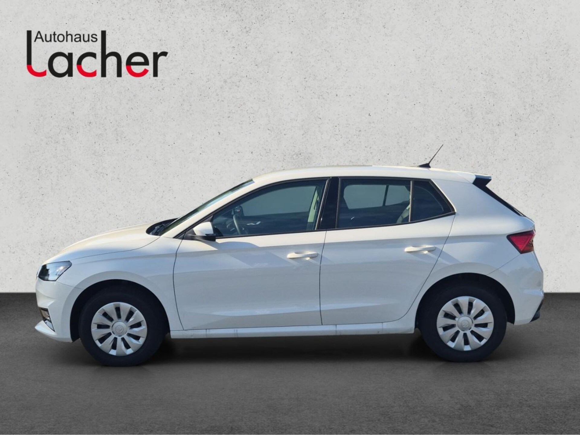 Skoda Fabia Selection