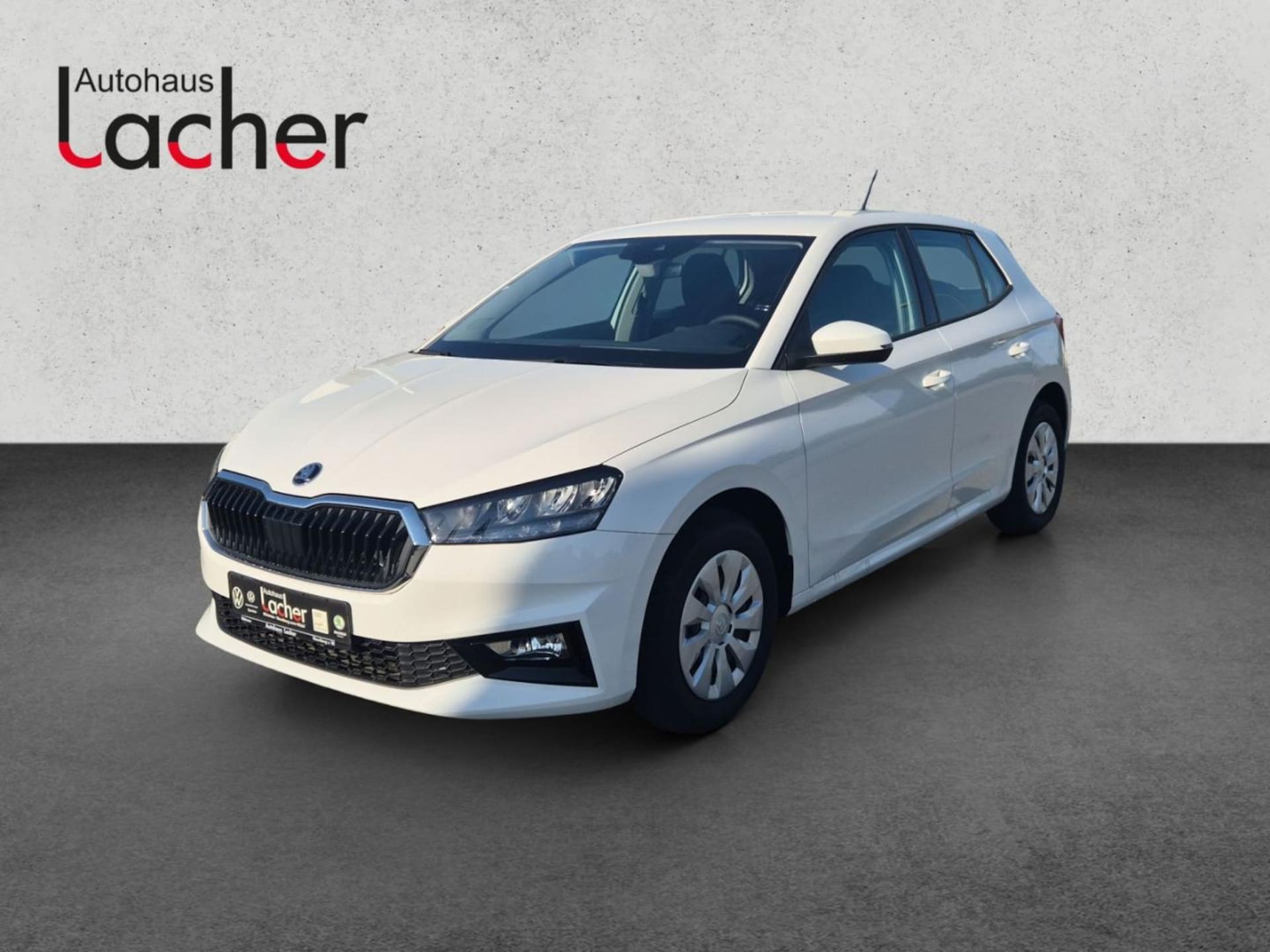 Skoda Fabia Selection