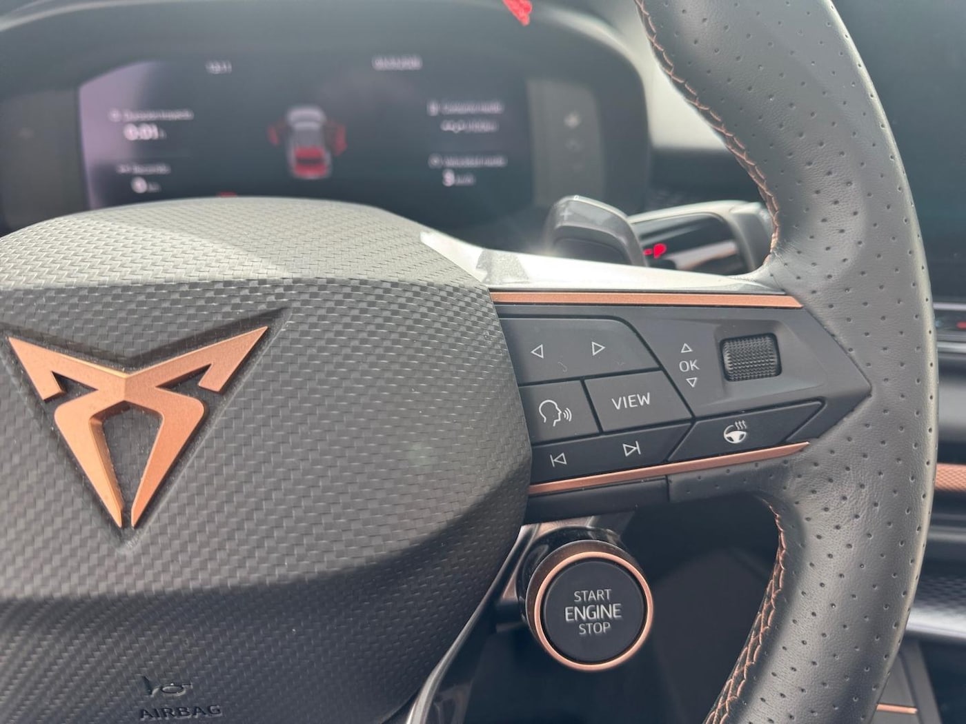 CUPRA Terramar 2.0 TSI VZ 4 Drive DSG 195 kW (265 CV) — photo 10