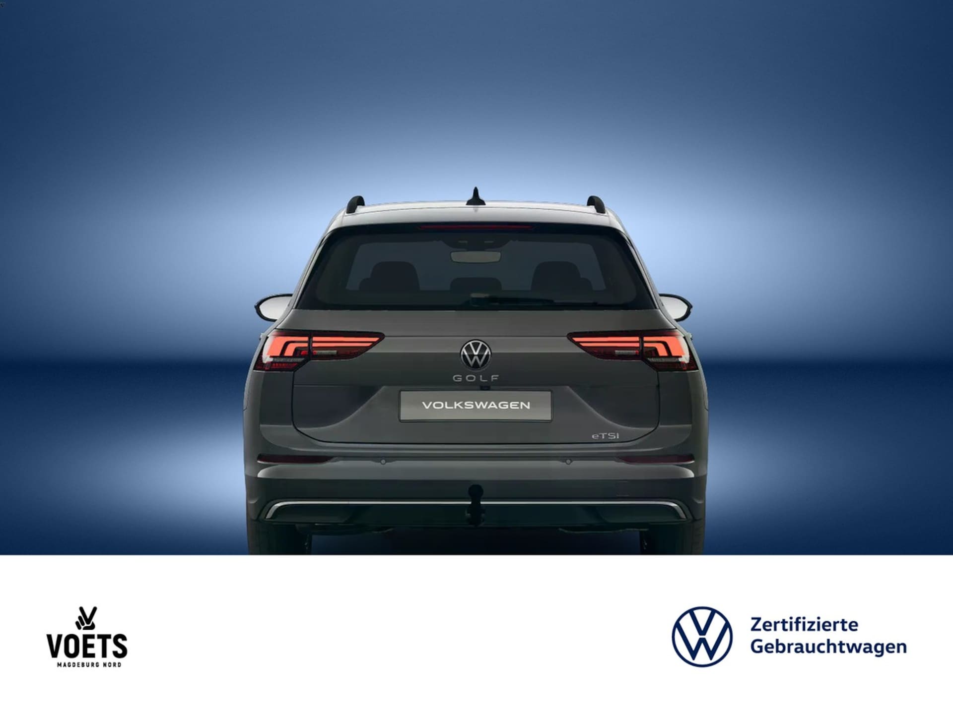 Volkswagen Golf Variant Goal