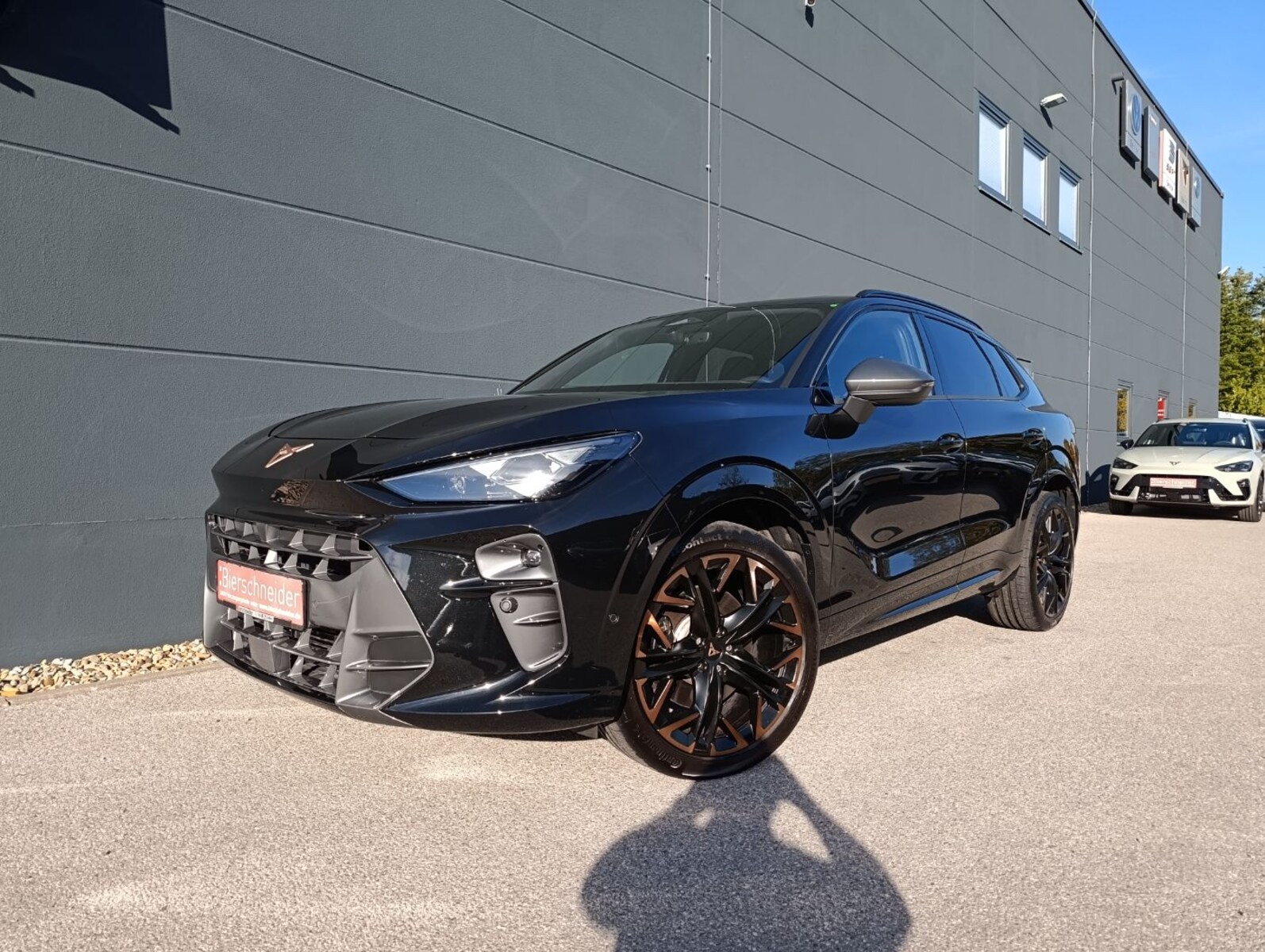 CUPRA Terramar – Bild 2