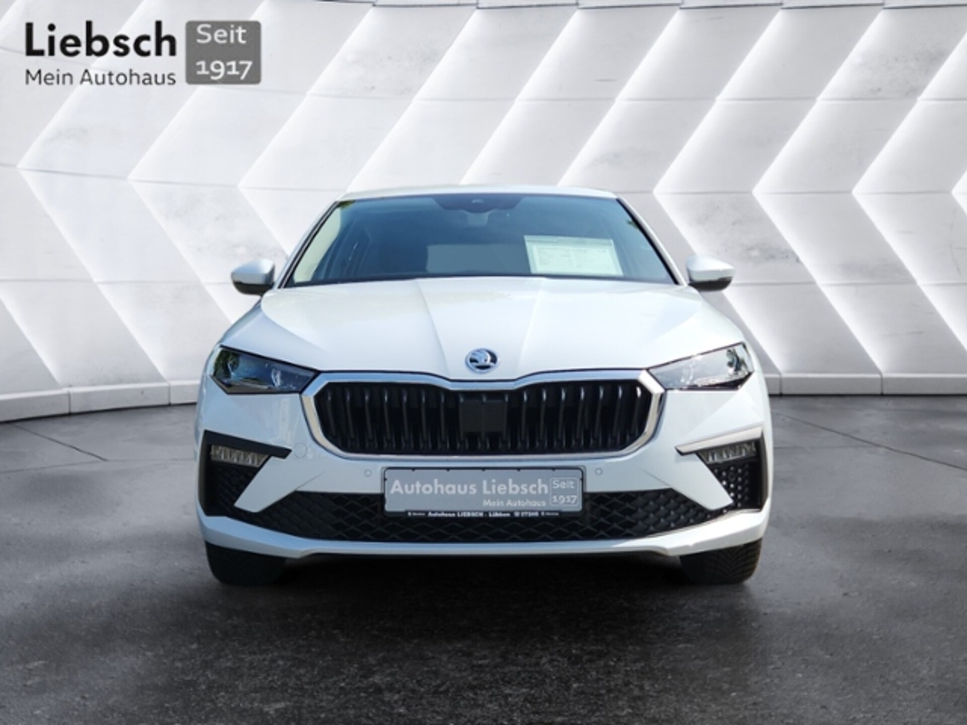 Skoda Scala Selection