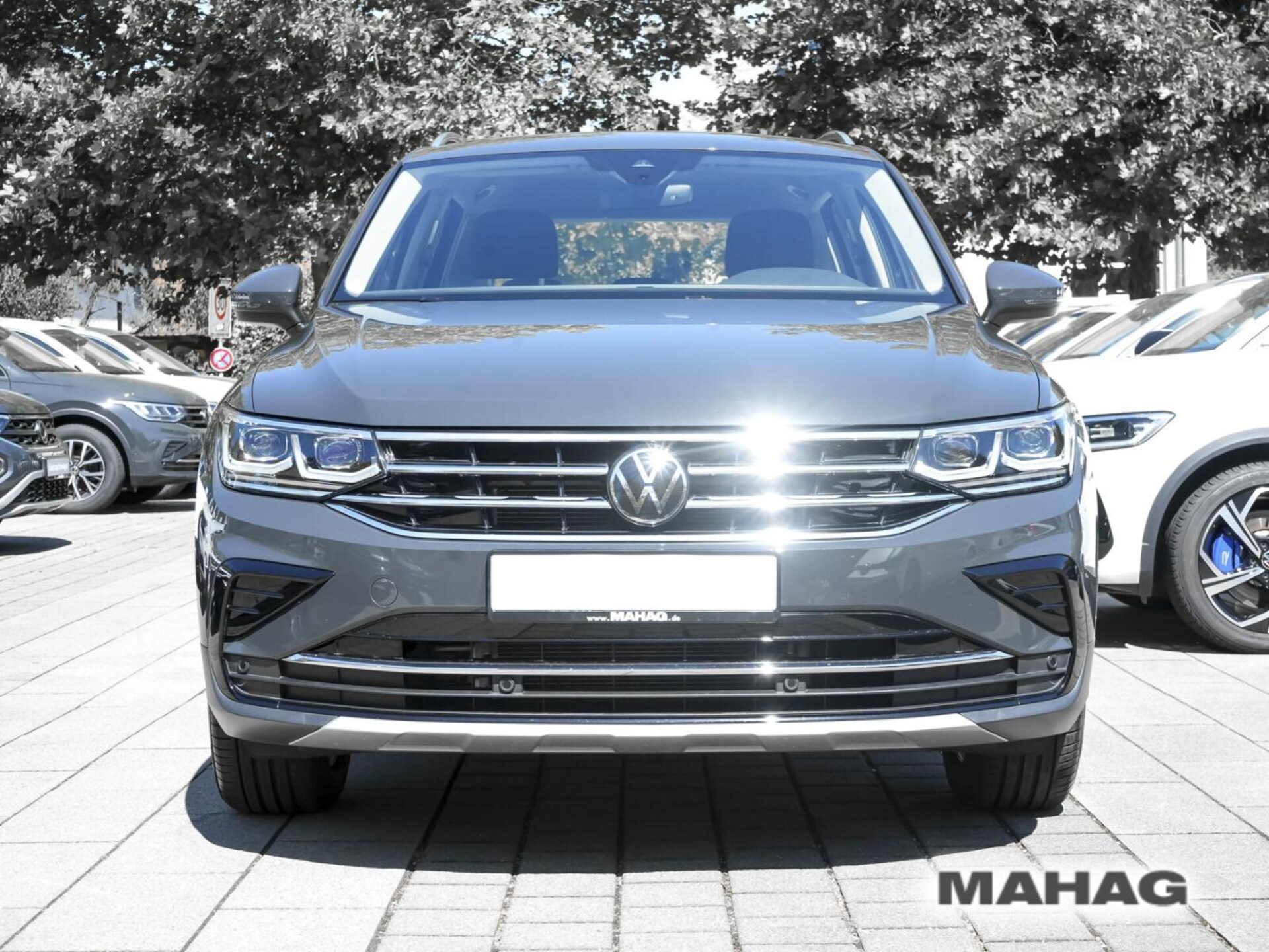 Volkswagen Tiguan Elegance