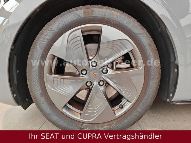 Bild des Autos 13