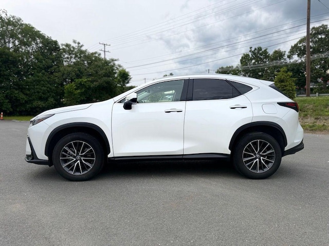 2024 Lexus NX 350