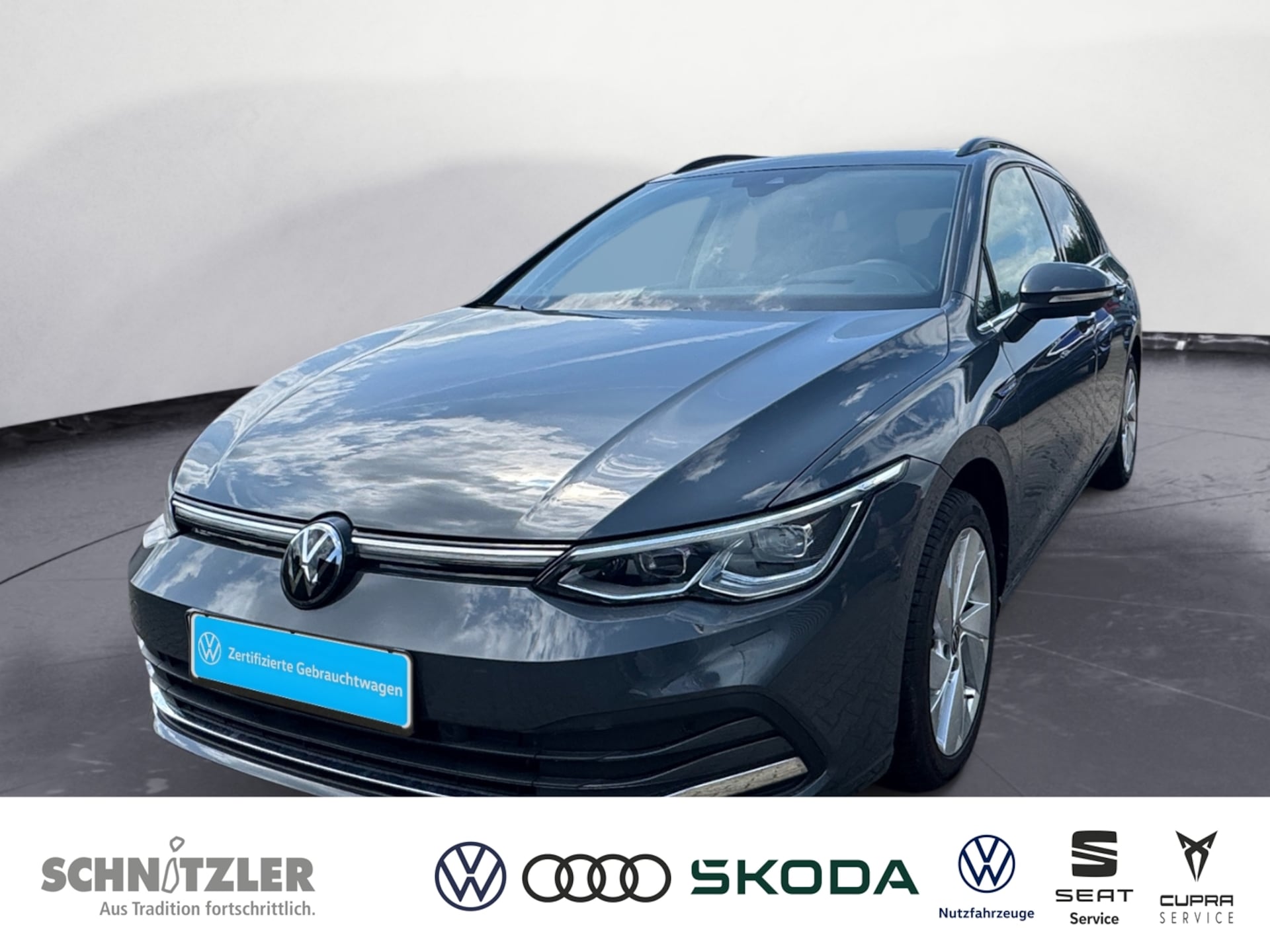 Volkswagen Golf Variant Style
