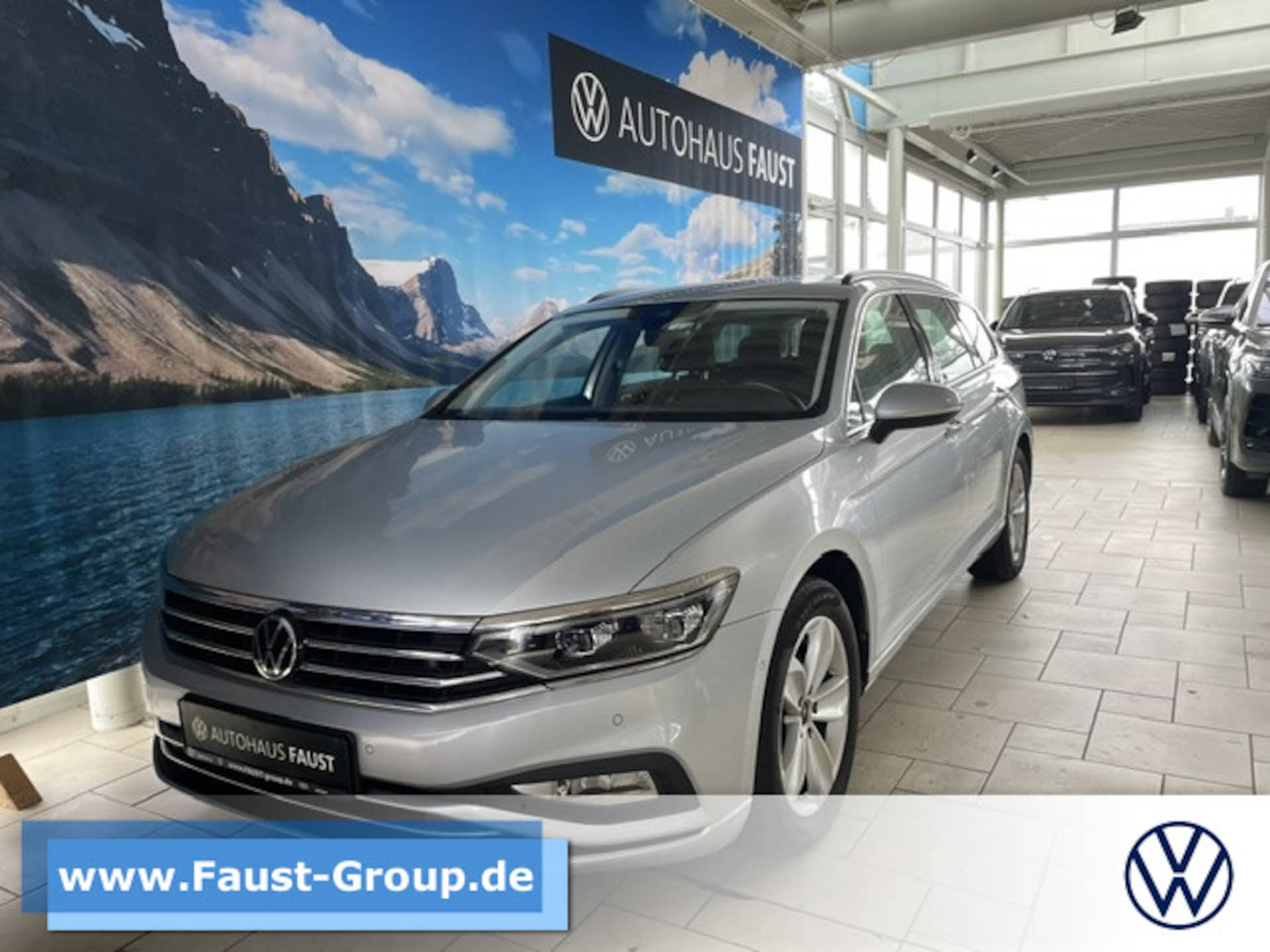 Volkswagen Passat Variant Business