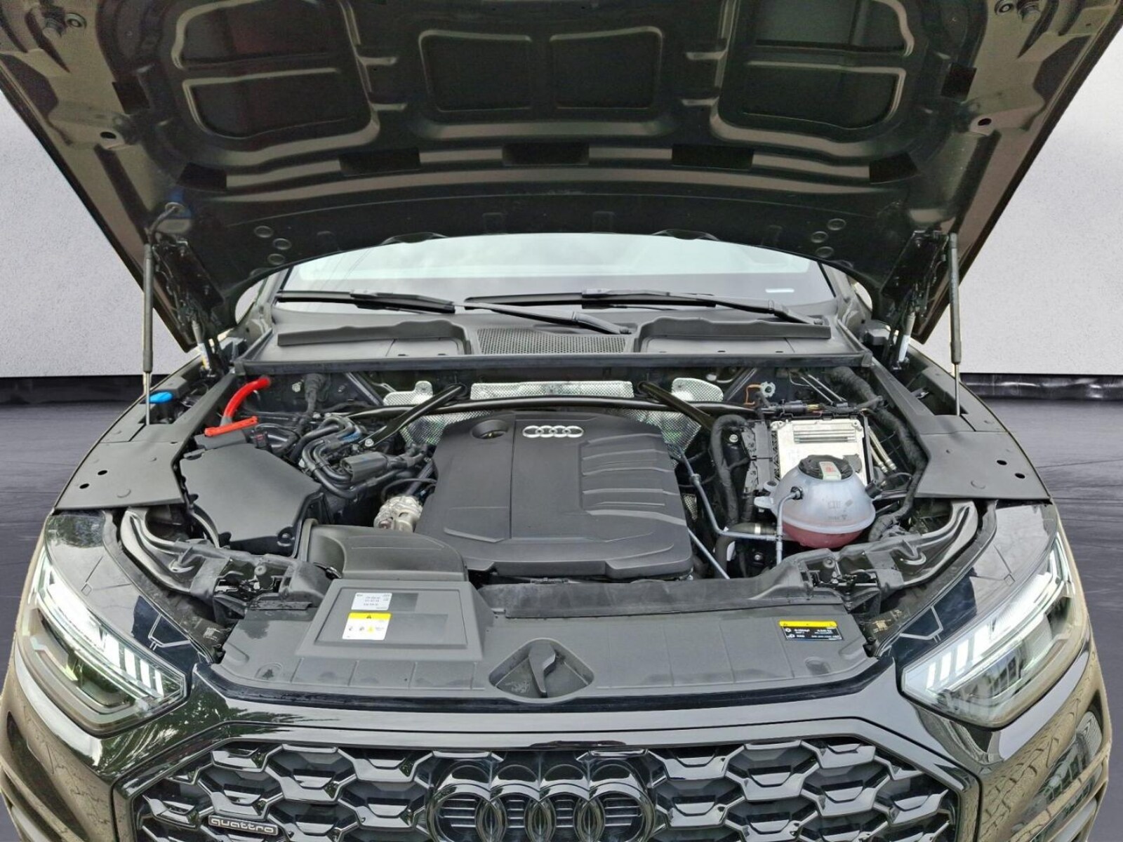 Audi Q5 Sportback – Bild 16