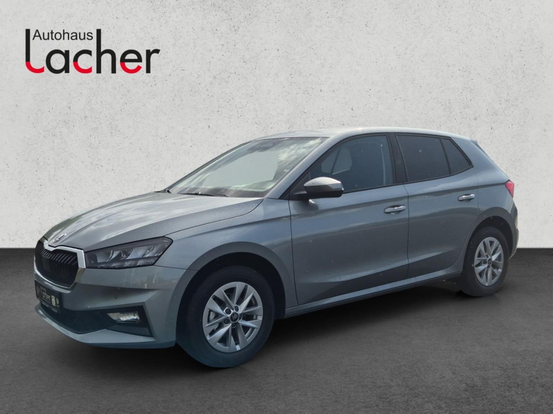 Skoda Fabia Selection
