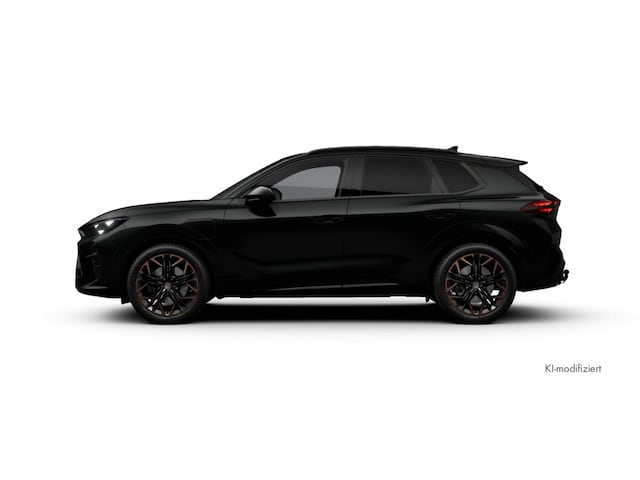 Bild des Autos 5