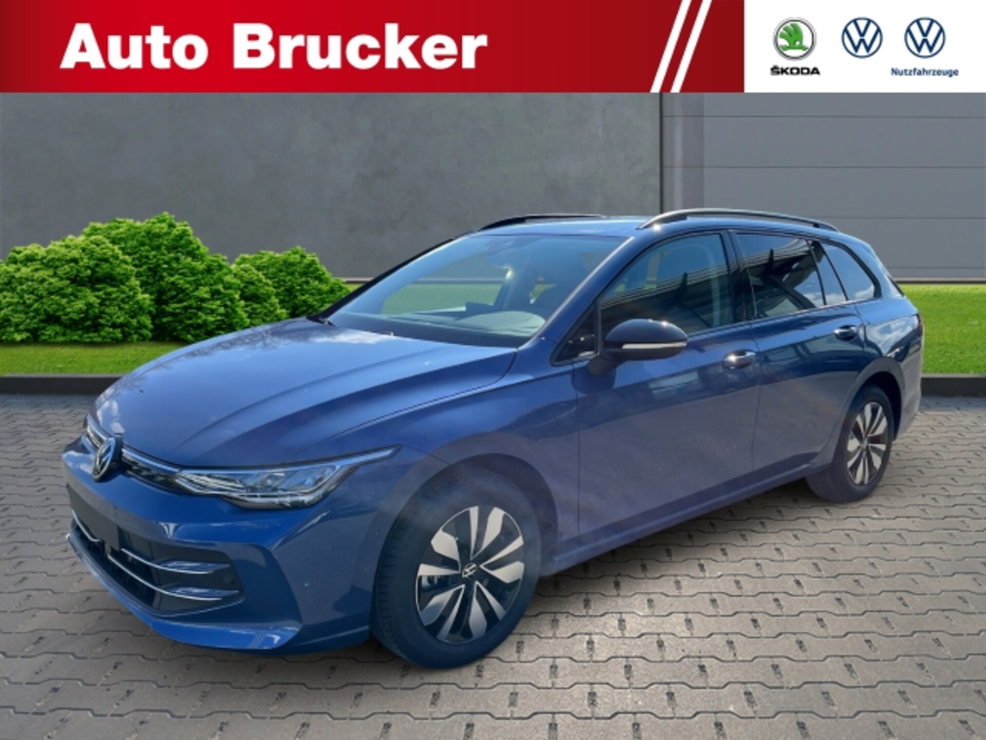 Volkswagen Golf Variant Goal