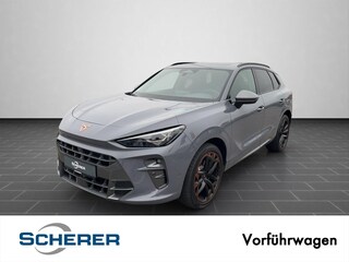 erstes Vorschaubild