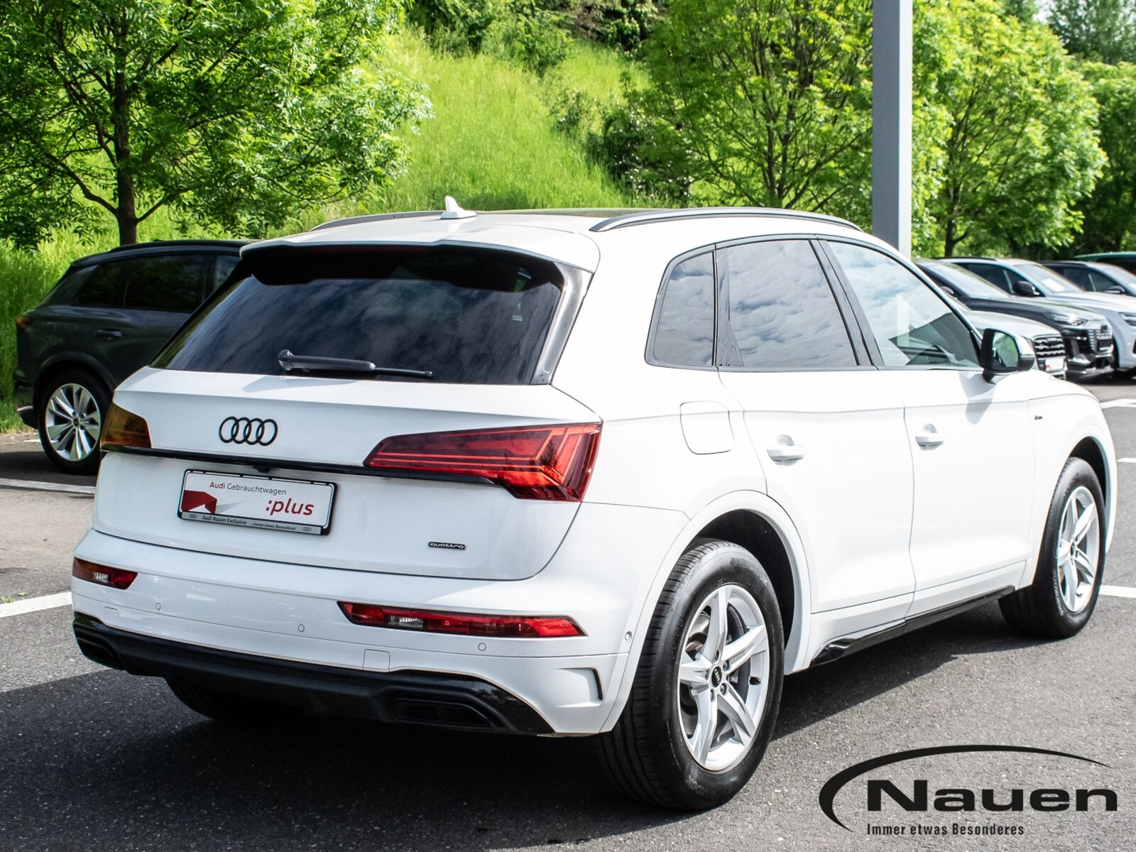 Audi Q5 – Bild 6